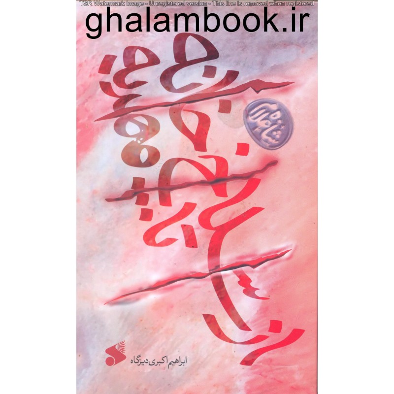 کتاب از سلاخ خانه تا مهدیه