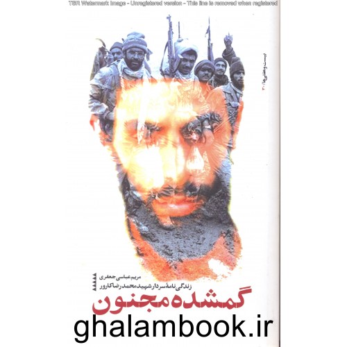 کتاب گمشده مجنون