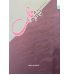 کتاب پاسخ به چند شبه فاطمی