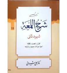کتاب ترجمه و تبین شرح اللمعه جلد 11