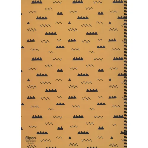 دفتر خط دار فانتزی 100 برگ (4طرح،کد 245)،(سیمی)