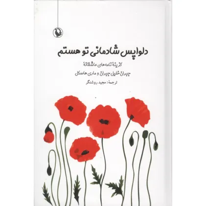 کتاب دلواپس شادمانی تو هستم (گزیده نامه های عاشقانه جبران خلیل جبران و ماری هاسکل)