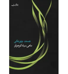 کتاب ماهی سیاه کوچولو (مجموعه آثار 5)