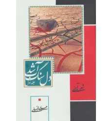 کتاب دل سنگ آب شد