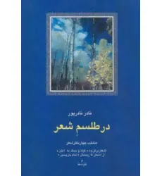 کتاب در طلسم شعر:منتخب چهار دفتر شعر (شعر معاصر ایران13)