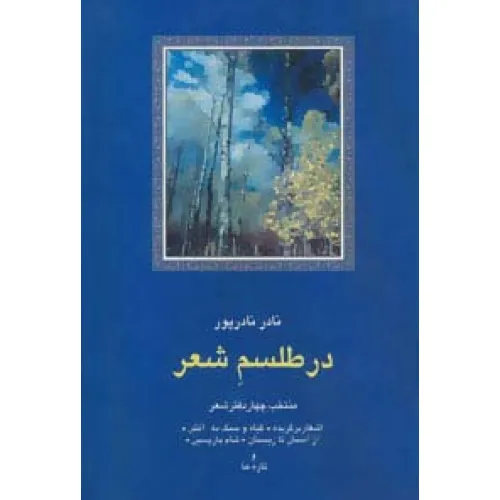 کتاب در طلسم شعر:منتخب چهار دفتر شعر (شعر معاصر ایران13)