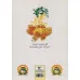 کتاب رازهای ساده برای زندگی مسالمت آمیز با خانواده همسر کتاب رازهای ساده برای زندگی مسالمت آمیز با خانواده همسر