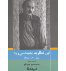 کتاب این قطار به ابدیت می رود (پازل شعر امروز128)،(گزینه ی اشعار محمدعلی سپانلو)