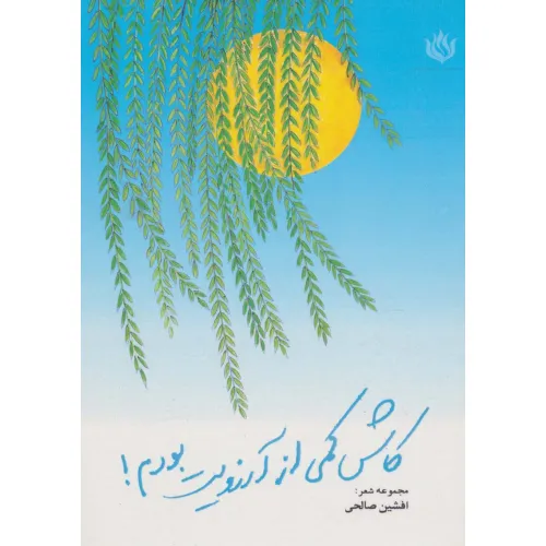 کتاب کاش کمی از آرزویت بودم! (مجموعه شعر)