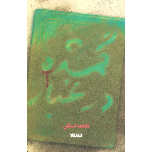 کتاب گمشده در غبار