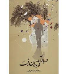 کتاب در باد آمد،در باران رفت