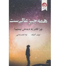 کتاب همه چیز عالی ست (چرا قادر به دیدنش نیستیم؟)