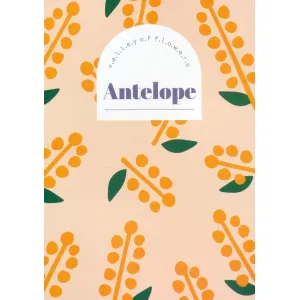 دفتر یادداشت خط دار FLOWER VALLEY (طرح ANTELOPE،کد 752) دفتر یادداشت خط دار FLOWER VALLEY (طرح ANTELOPE،کد 752)