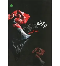 کتاب پرنده بی پرنده (همراه با سی دی)