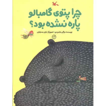 کتاب چرا پتوی گامبالو پاره نشده بود؟ (گلاسه)