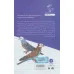 کتاب زمستان بی شازده