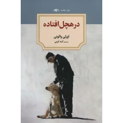 کتاب در هچل افتاده