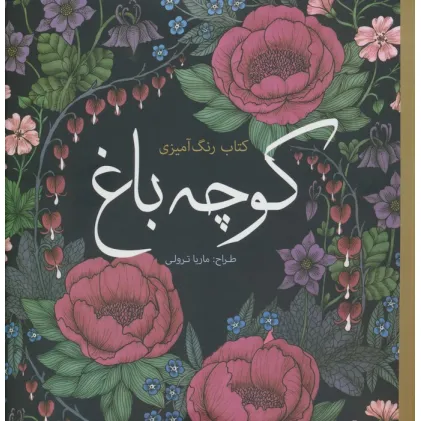 کتاب رنگ آمیزی کوچه باغ