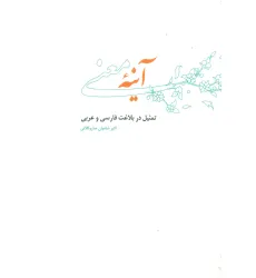 کتاب آینه معنی (تمثیل در بلاغت فارسی و عربی) کتاب آینه معنی (تمثیل در بلاغت فارسی و عربی)