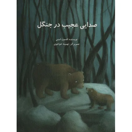 کتاب صدایی عجیب در جنگل (گلاسه)