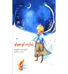 کتاب شازده کوچولو (قصه های مشهور جهان 1)