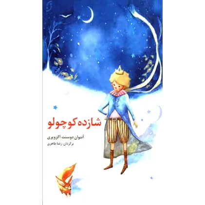 کتاب شازده کوچولو (قصه های مشهور جهان 1)
