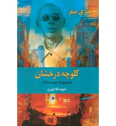 کتاب کلوچه درخشان (مجموعه چند مقاله)