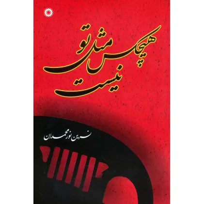 کتاب هیچکس مثل تو نیست