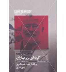 کتاب گربه ای زیر باران و دو داستان دیگر (داستانهای کوتاه شاهکار 6) کتاب گربه ای زیر باران و دو داستان دیگر (داستانهای کوتاه شاهکار 6)