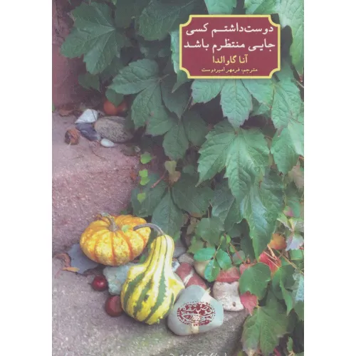 کتاب دوست داشتم کسی جایی منتظرم باشد