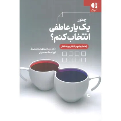 کتاب چطور یک یار عاطفی انتخاب کنم؟ (راهنمای جامع در انتخاب روابط عاطفی)