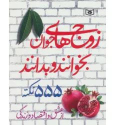 کتاب زوج های جوان بخوانند و بدانند (555 نکته از عشق و اقتصاد و زندگی)