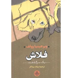 کتاب فلاش (یک سرگذشت)