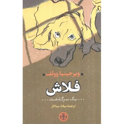 کتاب فلاش (یک سرگذشت)