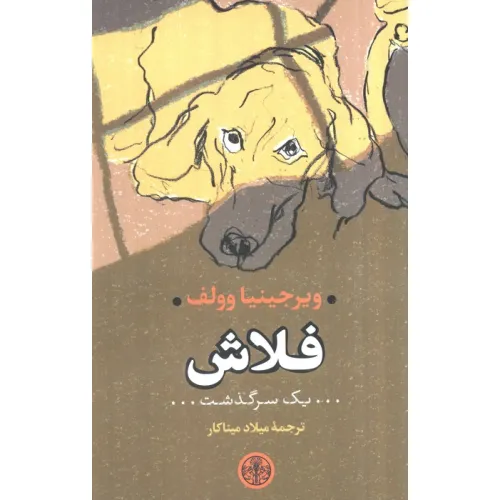کتاب فلاش (یک سرگذشت)