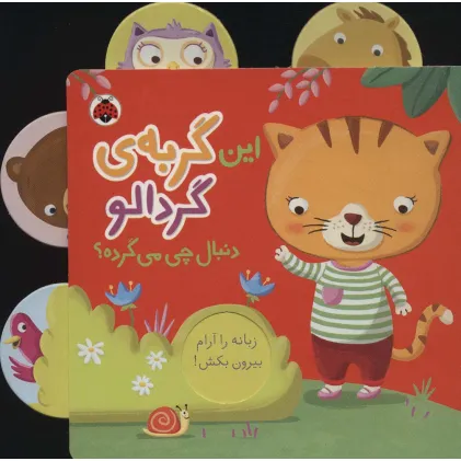 کتاب این گربه ی گردالو (دنبال چی می گرده؟)،(کتاب کشویی)