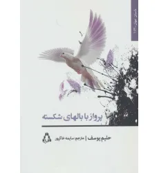 کتاب پرواز با بالهای شکسته (داستان جهان163)