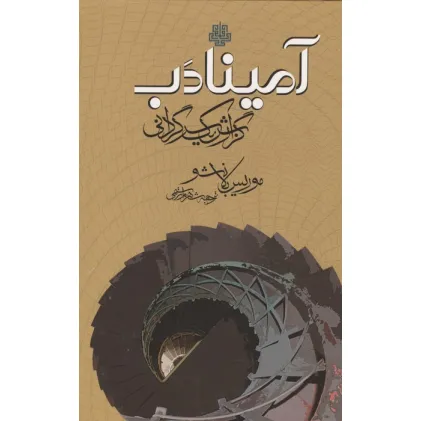 کتاب آمینادب (گزارش یک سرگردانی)