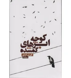 کتاب کوچه ابرهای گمشده (کتاب بوف24)