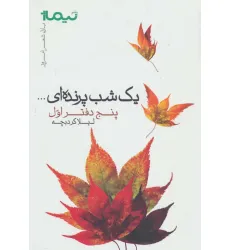 کتاب 1 شب پرنده ای...:5 دفتر اول (پازل شعر امروز)