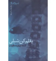 کتاب بغلم کن شبلی (پازل شعر امروز)