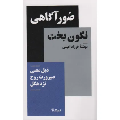 کتاب صور آگاهی نگون بخت (ذیل معنی صیرورت روح نزد هگل)