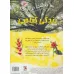 کتاب 100 حقیقت درباره ی زندگی گیاهی (کتاب های توت فرنگی32)،(گلاسه)
