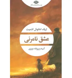 کتاب عشق نامریی (ادبیات مدرن جهان،چشم و چراغ71)