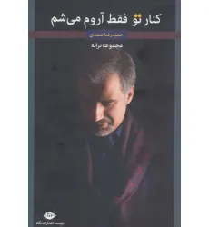 کتاب کنار تو فقط آروم می شم (مجموعه ترانه) کتاب کنار تو فقط آروم می شم (مجموعه ترانه)