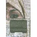 کتاب دجله به حال تو ناله کند