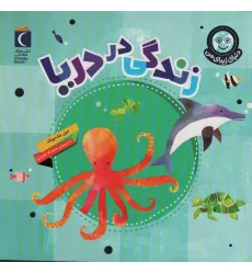 کتاب دنیای زیبای من (زندگی در دریا)،(گلاسه) کتاب دنیای زیبای من (زندگی در دریا)،(گلاسه)