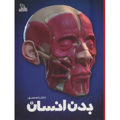 کتاب دانشنامه مصور بدن انسان (گلاسه)