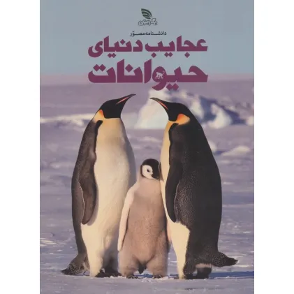 کتاب دانشنامه مصور عجایب دنیای حیوانات کتاب دانشنامه مصور عجایب دنیای حیوانات