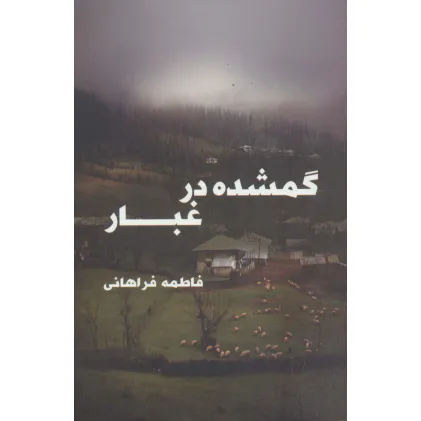 کتاب گمشده در غبار
